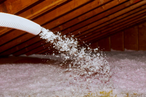 Best Insulation Maintenance and Repair in Hamilton, AL